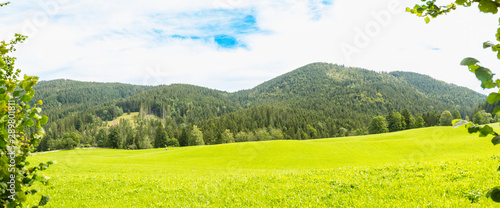 Panorama composition of Meadow at Prostboden National Park in Schliersee in Germany