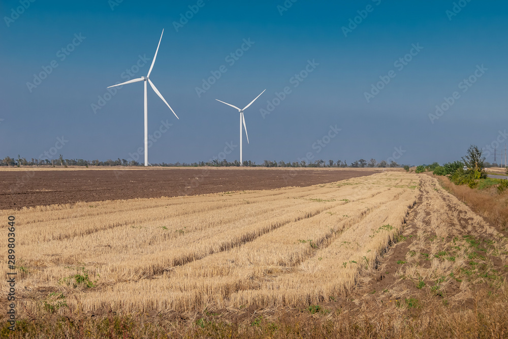 Wind power stations work in the yellow field Wind power stations work in the yellow field