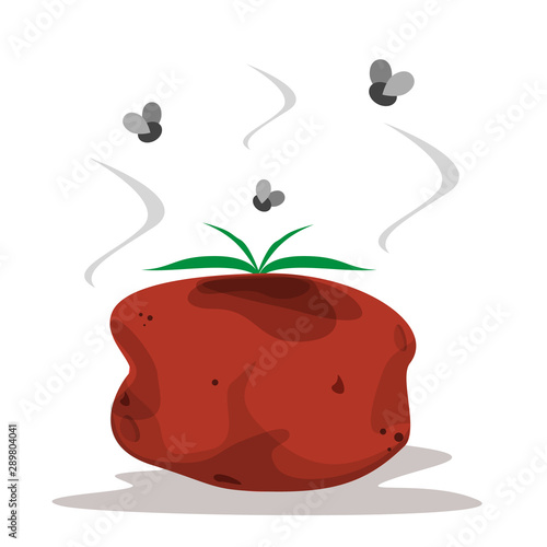 Rotten tomato vector isolated. Fly above the vegetable garbage.