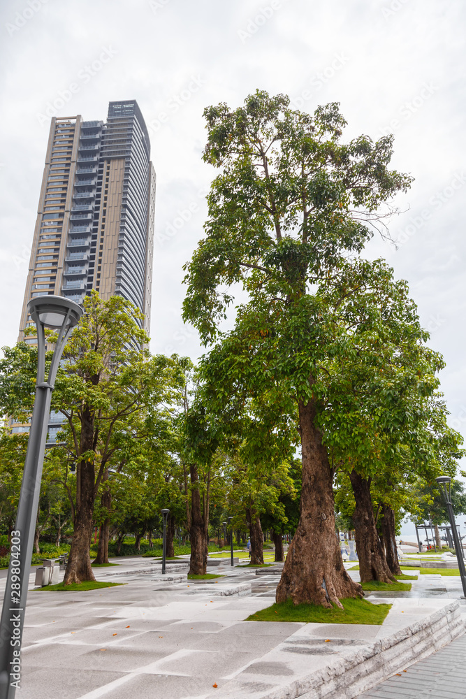 View of an alley with exotic southern trees and a municipal high-rise building