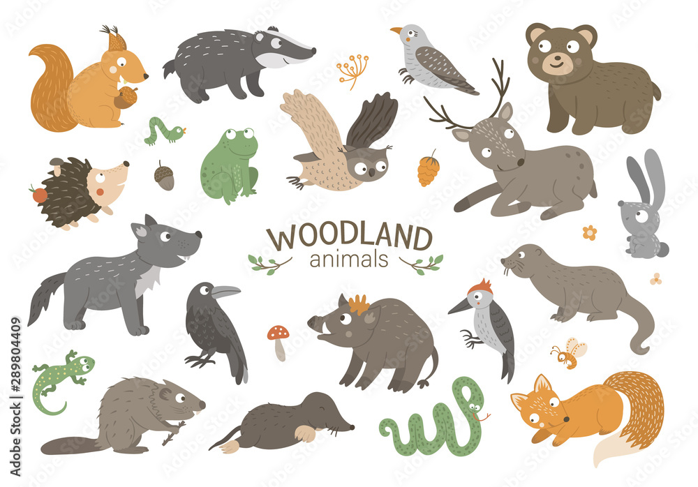 Obraz premium Set of vector hand drawn flat woodland animals. Funny animalistic collection. Cute forest illustration for children’s design, print, stationery.