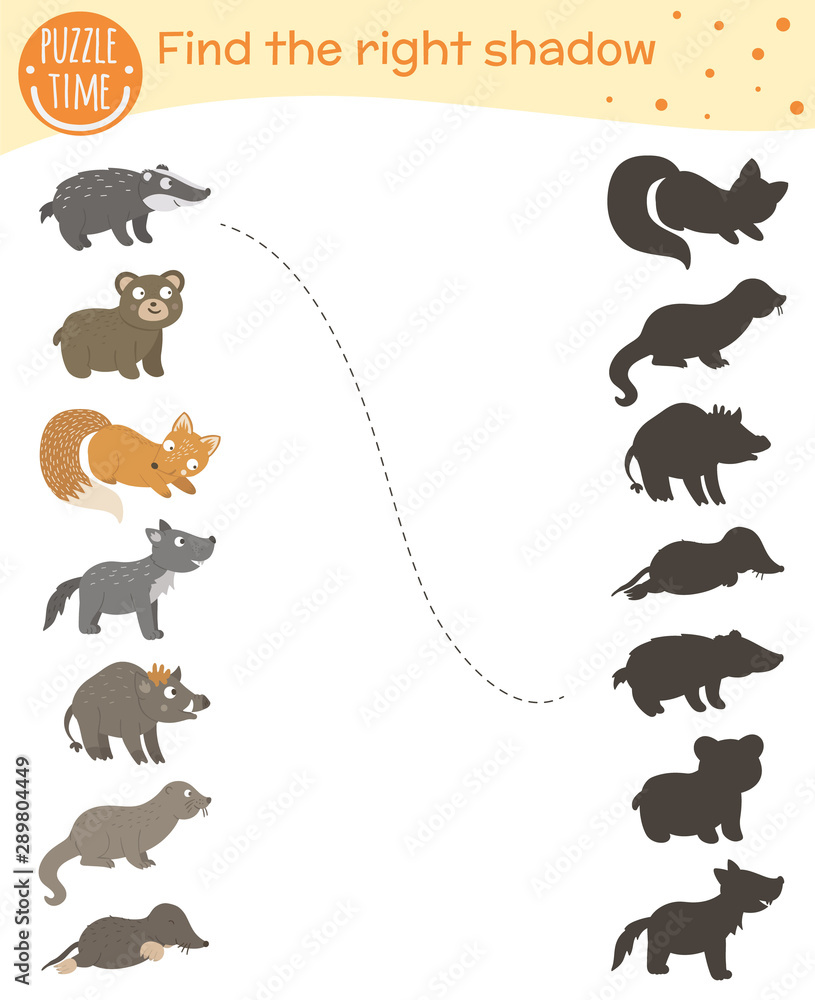 Shadow matching activity for children with woodland animals. Cute funny  smiling wolf, bear, fox, badger, mole, otter, wild boar. Find the correct  silhouette game.. Stock Vector | Adobe Stock
