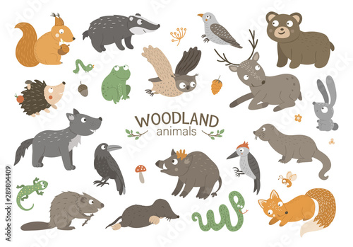 Set of vector hand drawn flat woodland animals. Funny animalistic collection. Cute forest illustration for children’s design, print, stationery.