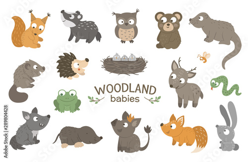 Set of vector hand drawn flat woodland baby animals. Funny animalistic collection. Cute forest illustration for children’s design, print, stationery