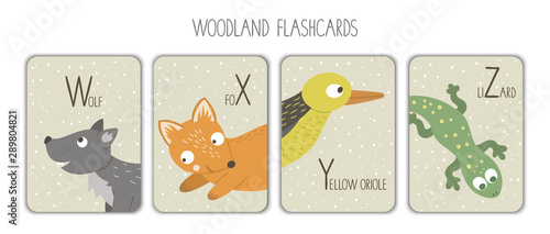 Colorful alphabet letters W, X, Y, Z. Phonics flashcard. Cute woodland themed ABC cards for teaching reading with funny wolf, fox, yellow oriole, lizard..