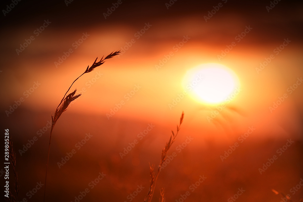 Obraz premium Zachód Słońca Muszyna