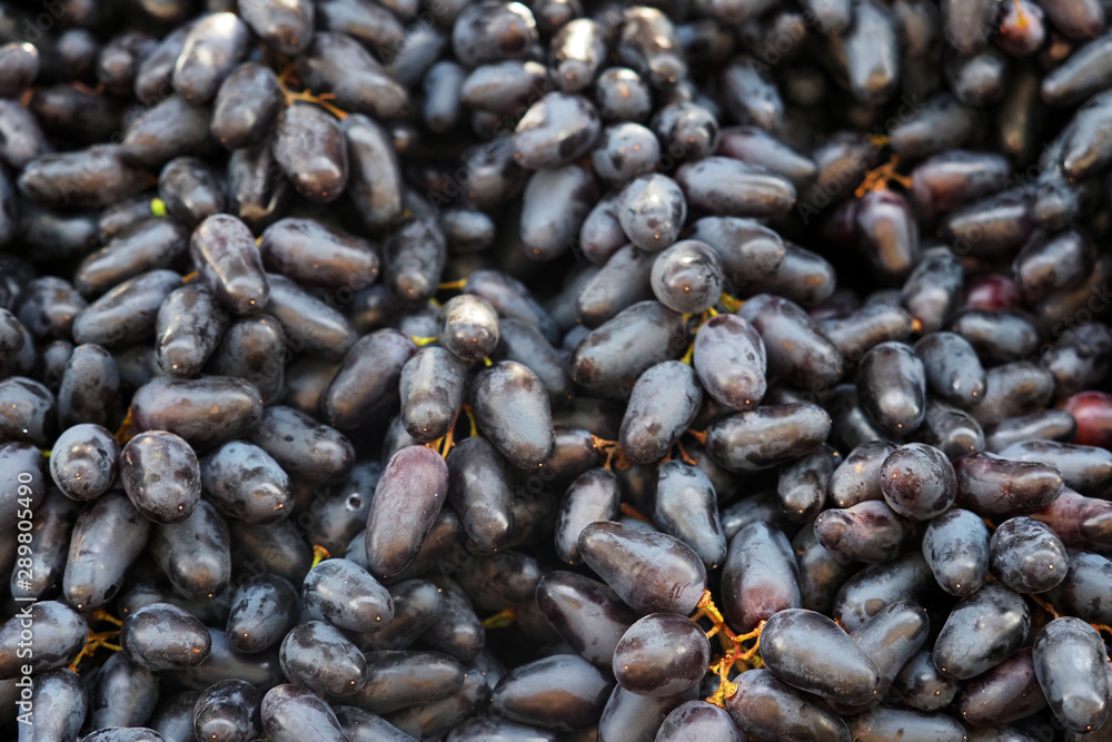 Dark long grape background, sunlight. Fresh fruit brunch grapes, fruit market. Wine grape. Moon Drops or Witch Fingers grape Dark long grape background, sunlight. Fresh fruit brunch grapes, fruit market. Wine grape. Moon Drops or Witch Fingers grape