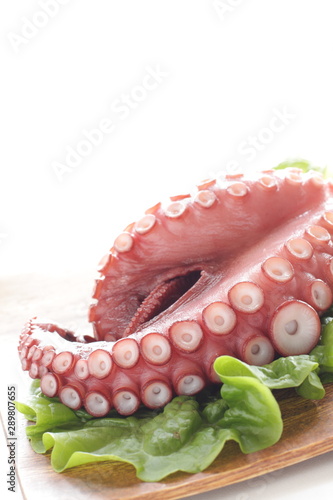 Boiled Octopus, freshness on lettuce for Japanese cooking image