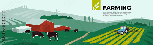 Vector illustration of farm land, pasture, cows, agricultural buildings, irrigation tractor spraying on field. Design for farming, livestock company. Template for banner, annual report, print, website