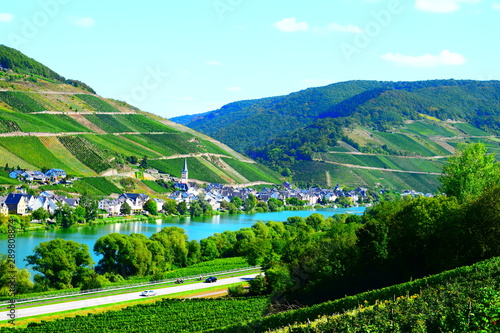 Blick auf Zell an der Mosel, Weinberge und Teile der Moselshcleife photo