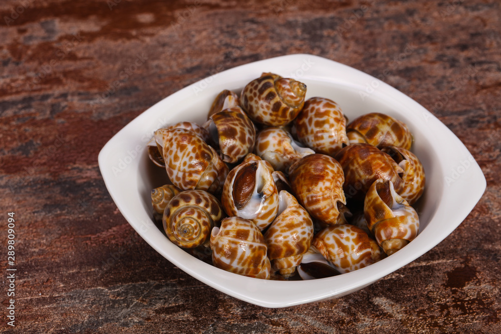 Tasty mollusk - spotted Babylon in the bowl Tasty mollusk - spotted Babylon in the bowl