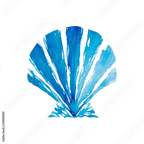 Isolated watercolor set with blue sea shell. Watercolor seafood illustration. White background