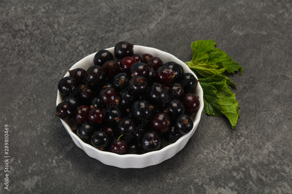 Fresh ripe sweet black currant Fresh ripe sweet black currant