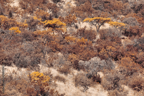 panorama landscape from Pilanesberg National Park, South Africa. Wildlife and nature. African safari © ArtushFoto