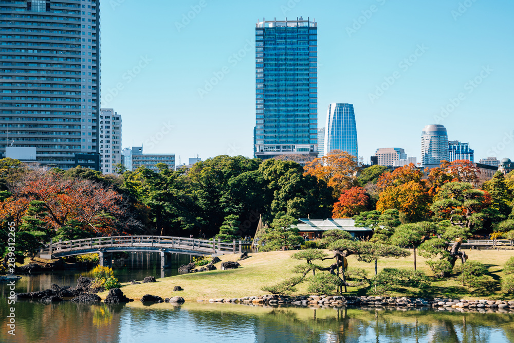 Hamarikyu Gardens and modern buildings at autumn in Tokyo, Japan