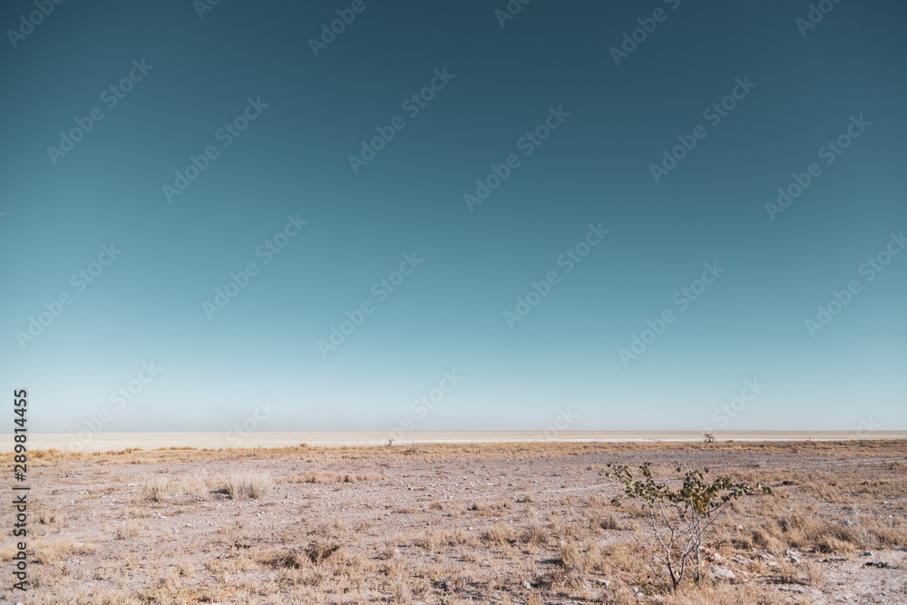View over the Etosha Pan, Namibia, Africa 