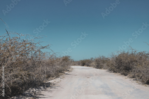 Dirt road in Africa  photo