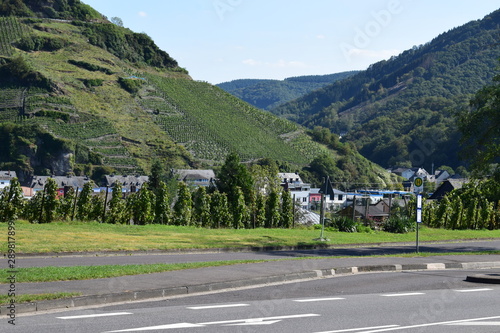 Blick auf Zell an der Mosel, Weinberge und Teile der Moselshcleife photo