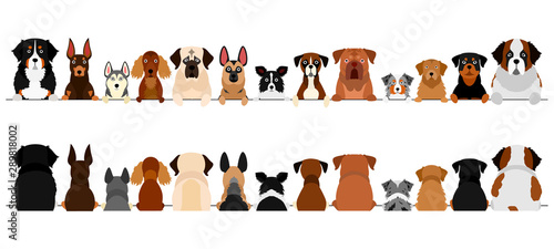 large dogs border set, upper body, front and back © Studio Ayutaka