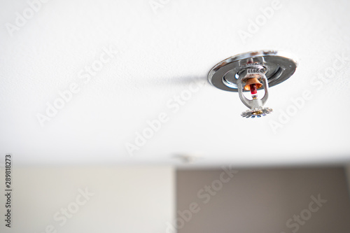 Automatic fire Sprinkler head on ceiling