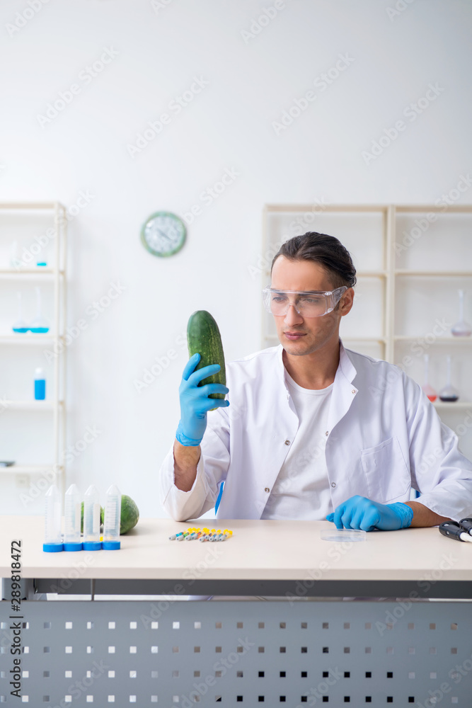 Male nutrition expert testing vegetables in lab Male nutrition expert testing vegetables in lab