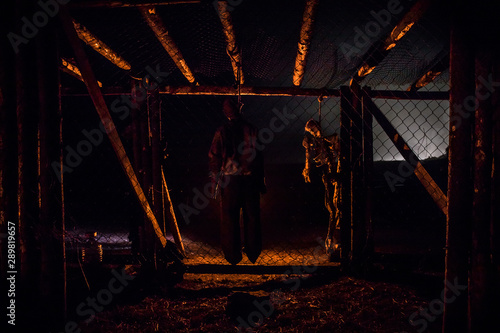 Horror view of hanged girl on tree at evening (at night) Suicide decoration. Death punishment executions or suicide abstract idea. Different background decoration photo