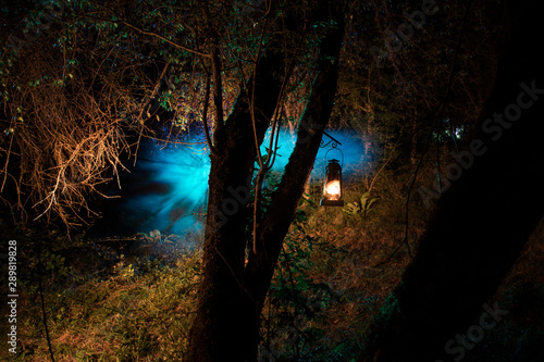 Horror Halloween concept. Burning old oil lamp in forest at night. Night scenery of a nightmare scene.