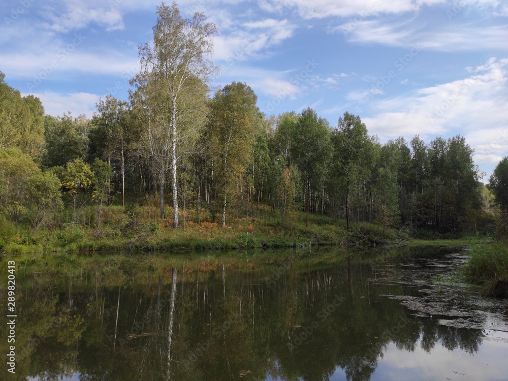 lake in forest