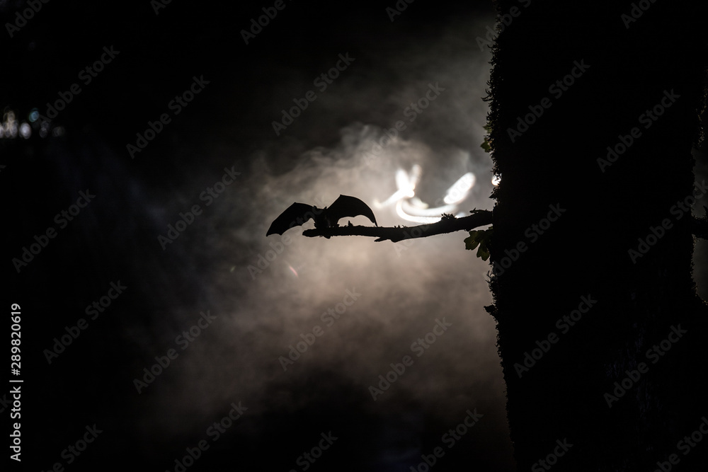 Obraz premium Horror Halloween concept. The bat is spreading its wings sitting on the tree at misty night.