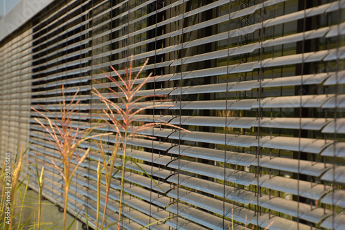 semi-closed outside blinds close-up, metal external blinds as sun and sight protection