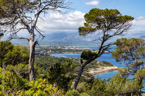 Bild auf Leinwand Blick vom Aussichtspunkt Mirador de La Victoria, Mallorca