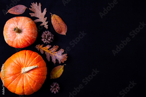 Two orange pumpkins with oak leaves and cone on black background. Copy space. Top view.