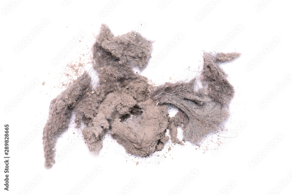 Dirty Dust from Vacuum cleaner, real Dust isolated on white Background as Texture