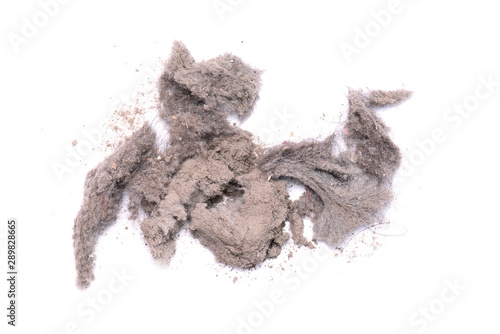 Dirty Dust from Vacuum cleaner  real Dust isolated on white Background as Texture