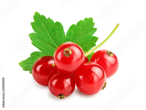 Red currant berries with leaf isolated on white background