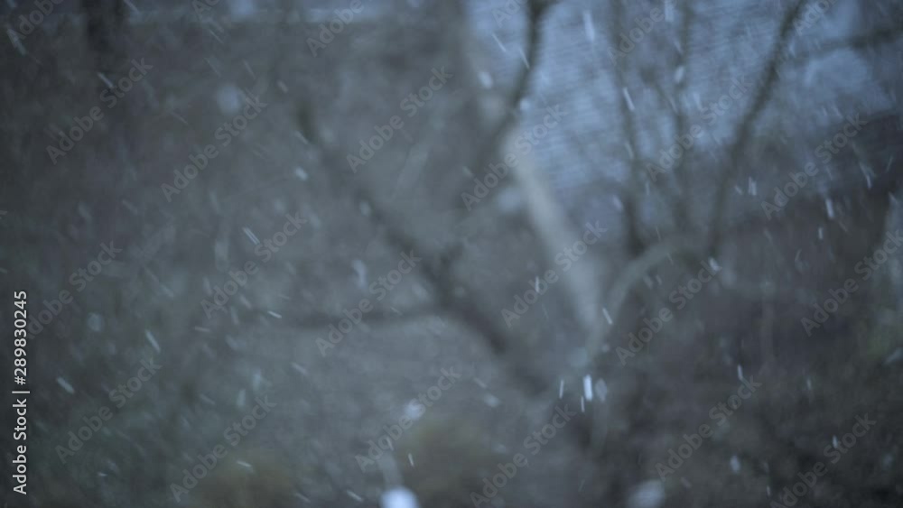 snow falling on defocused background of a sad autumn landscape. view from the window snow falling on defocused background of a sad autumn landscape. view from the window