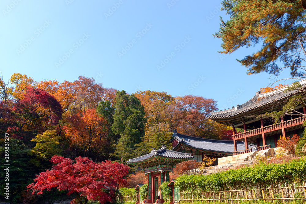 Traditional Korean architecture with autumn trees and blue sky, Seoul, South Korea. Traditional Korean architecture with autumn trees and blue sky, Seoul, South Korea.