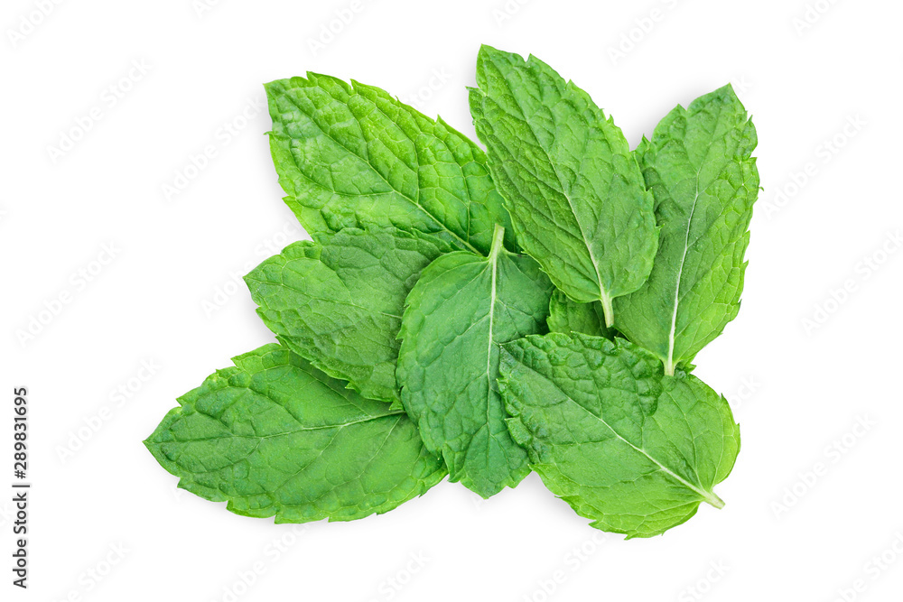 fresh green mint leaves isolated on white background, top view. Flat lay fresh green mint leaves isolated on white background, top view. Flat lay