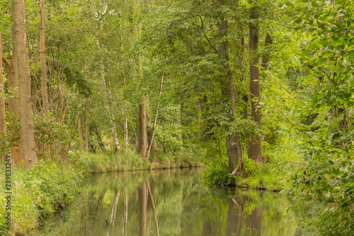 Wasserkanal im Spreewald 