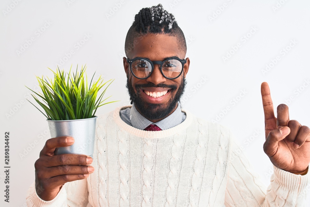 African american man with braids holding plant pot over isolated white background surprised with an idea or question pointing finger with happy face, number one - obrazy, fototapety, plakaty 