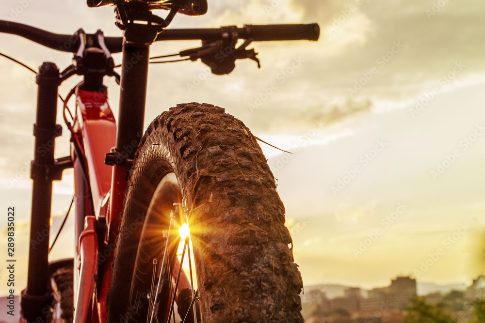 Back shot of mountain bike on sunset . Rear wheel. Mountain bike tire.  Tires 27,5 inch MTB Bicycle component. Stock Photo | Adobe Stock