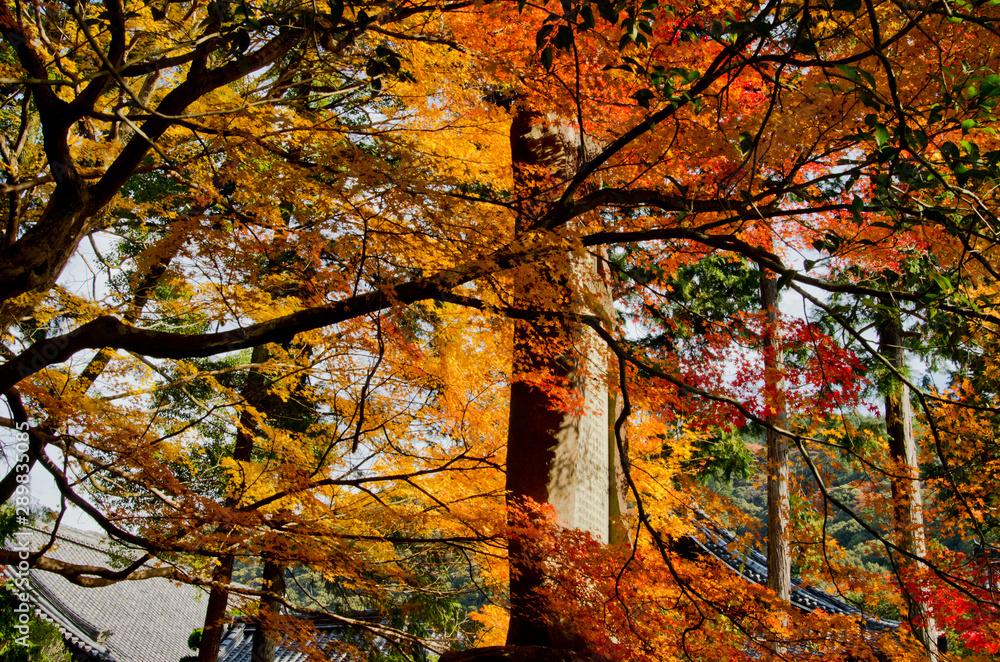 Scenery of around Nanzenji-temple in Kyoto,Japan. Scenery of around Nanzenji-temple in Kyoto,Japan.
