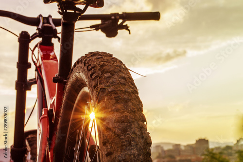 Cuadro en lienzo Back shot of mountain bike on sunset