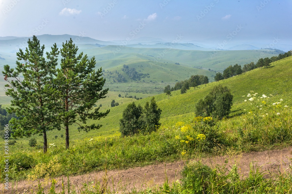 landscape in Altai mountains