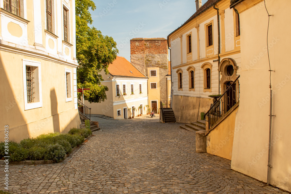 Cobbled street of the old city. Horizontal view.  Mikulov, Czech Republic.
