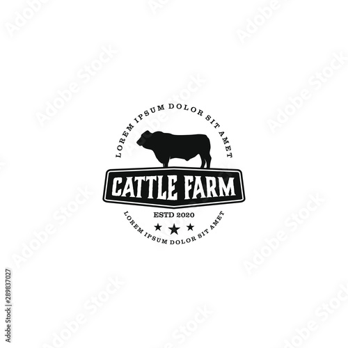 Cattle farm logo design - angus cow farm