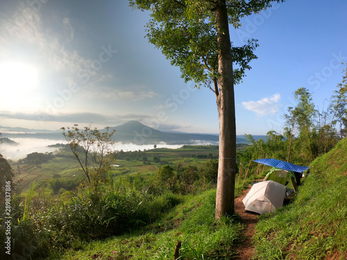 tourist tent in the forest