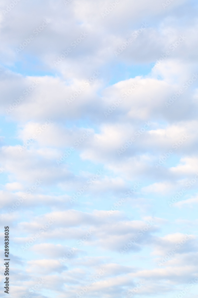 Fototapeta premium Vertical background of cirrus clouds on a blue sky, Russia