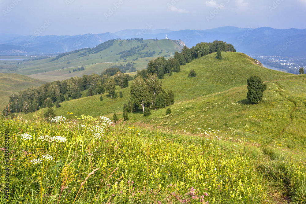 Fototapeta premium landscape in Altai mountains
