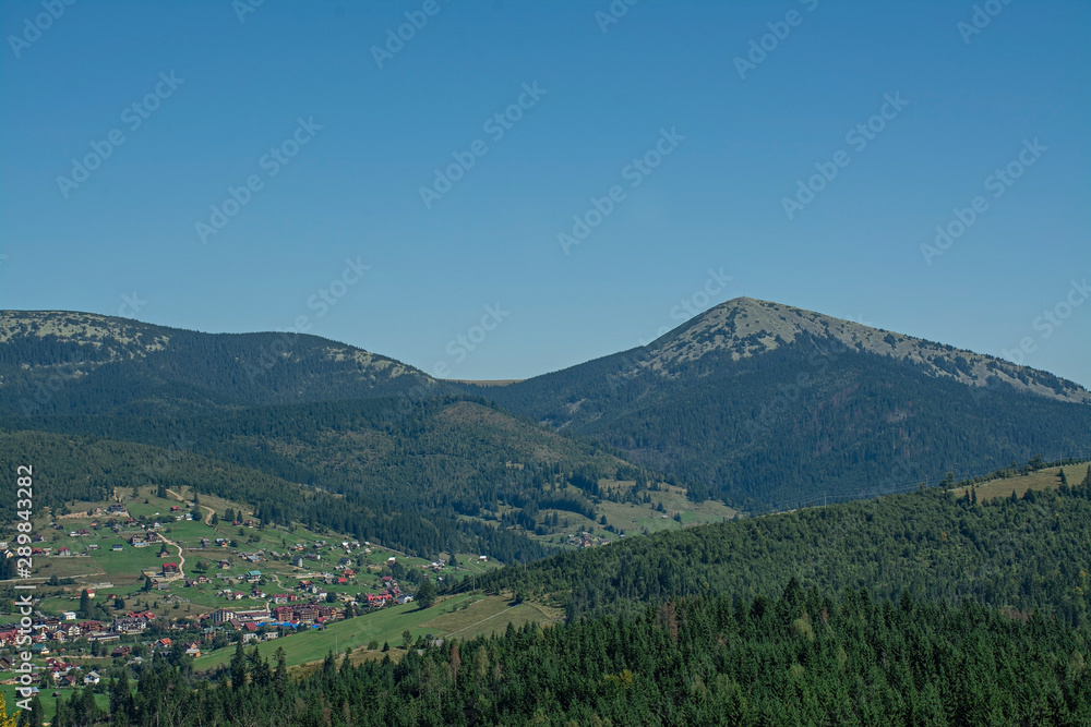 Forest on a mountainside in a nature reserve. Landscape with mountains, sunny day.